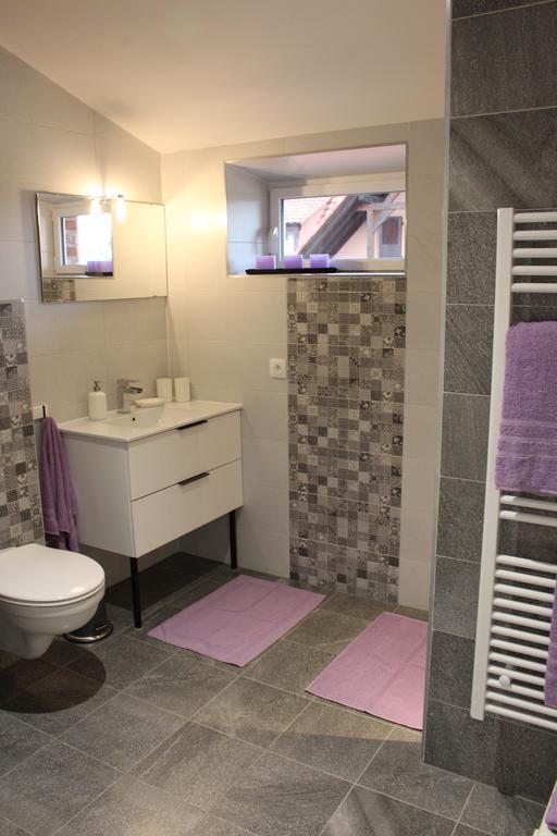 Agrita Home Wittisheim Kültér fotó